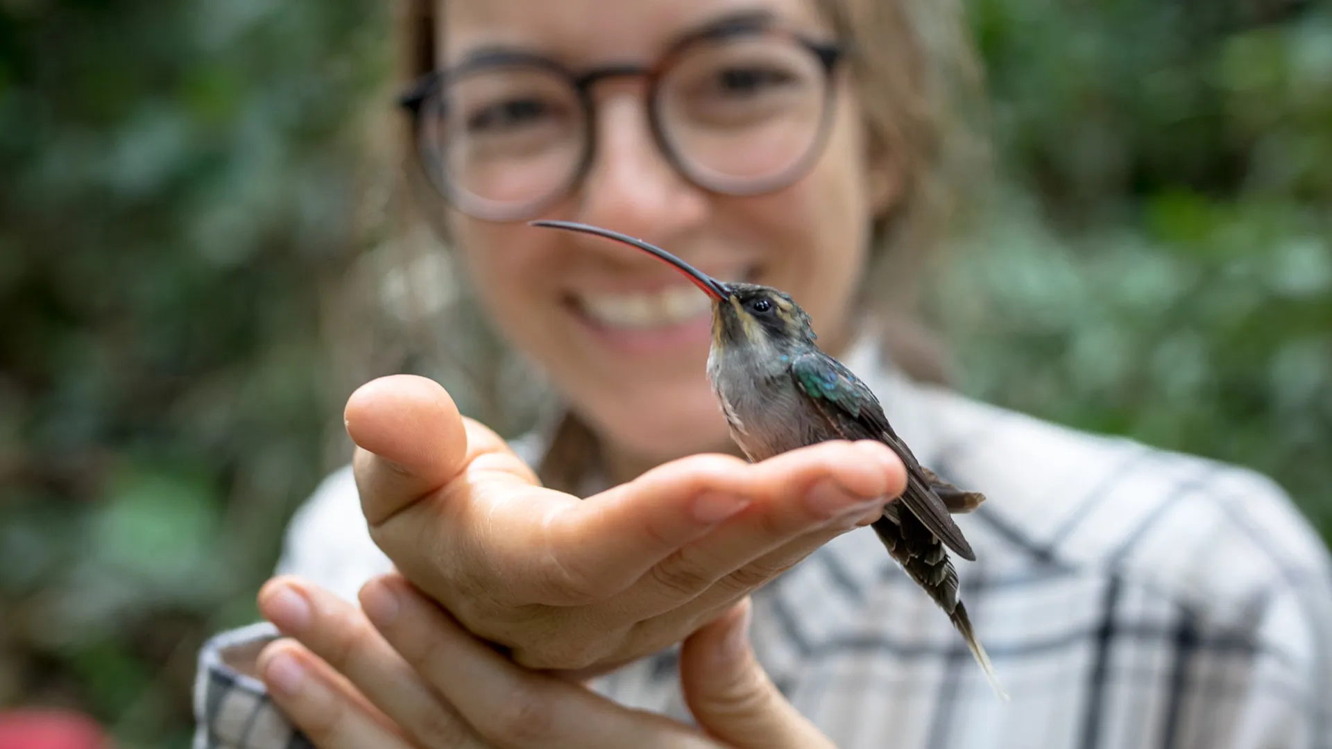 Primera expedición de biodiversidad Colombia BIO 3